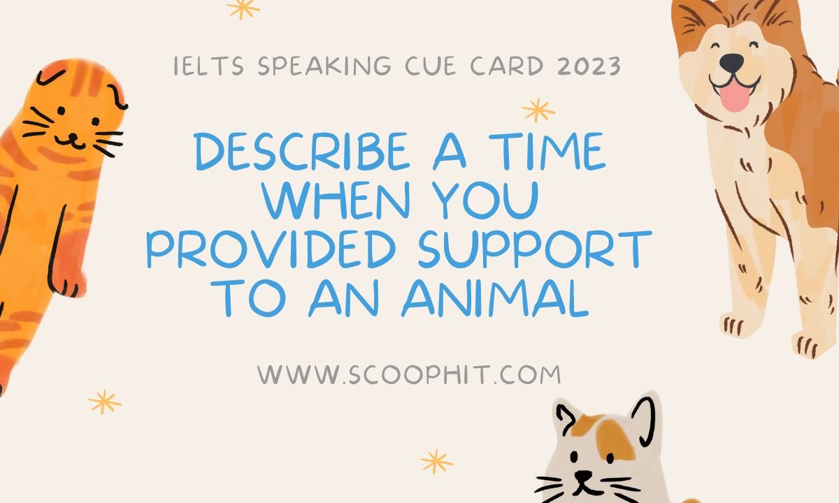 describe a time when you provided support to an animal