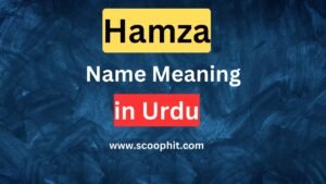 hamza name meaning in urdu