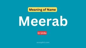 meerab name meaning in urdu