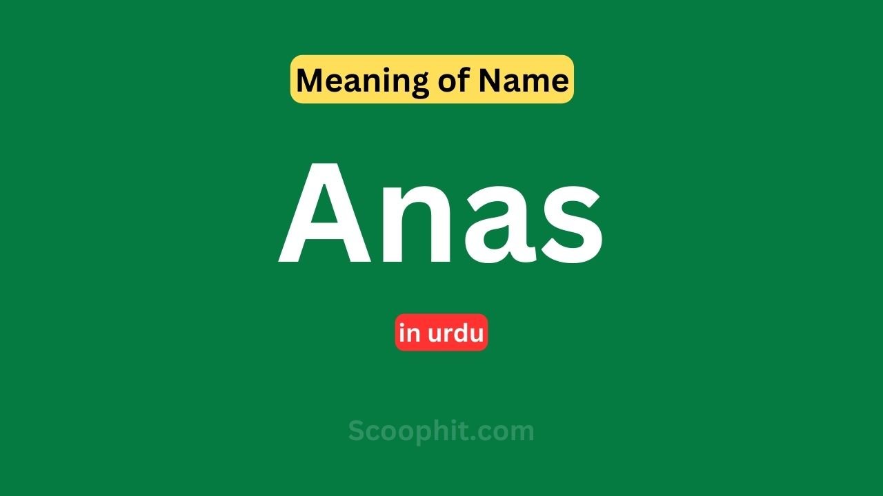 Anas Name Meaning in urdu