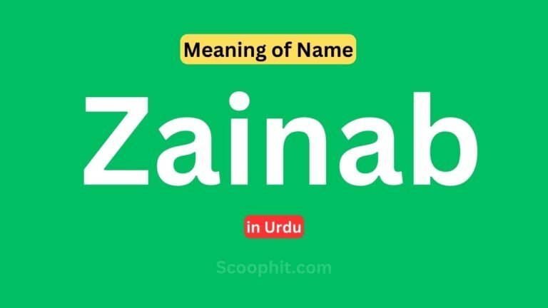 zainab name meaning in urdu